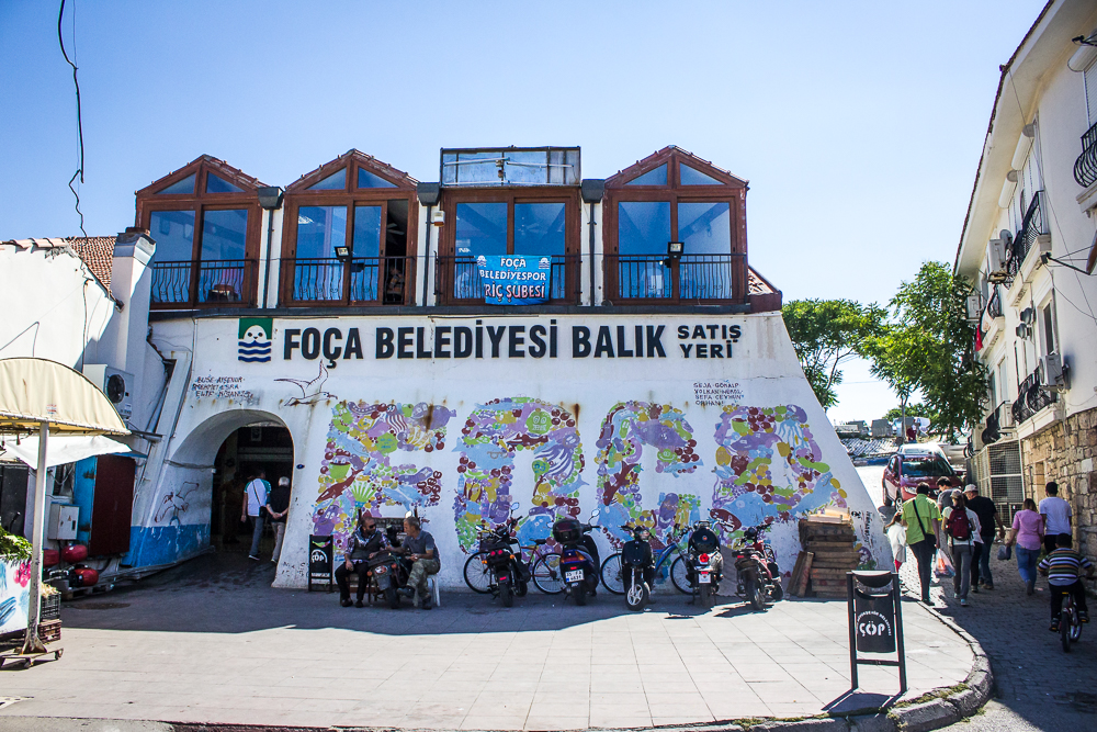 FunkTravels Eski Foca